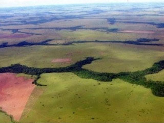 Cortijo de alto standing de 21330000 m2 en venta Puerto Carreño, Colombia