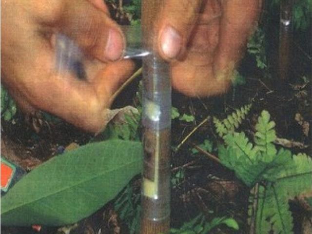 Cortijo de alto standing de 21330000 m2 en venta Puerto Carreño, Colombia