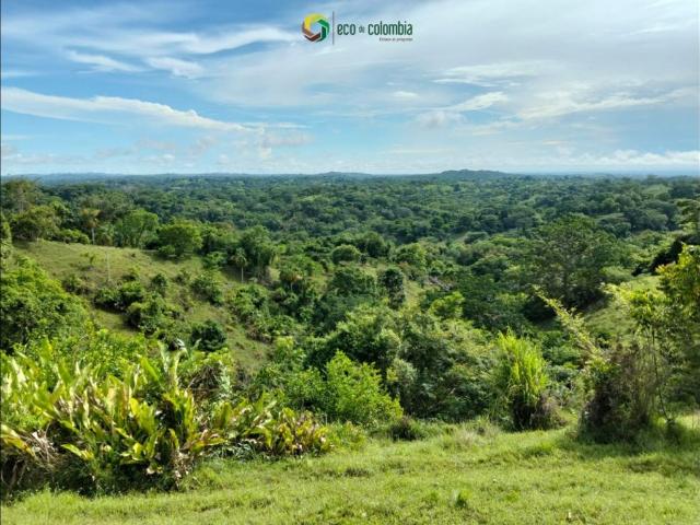Finca en venta en Córdoba