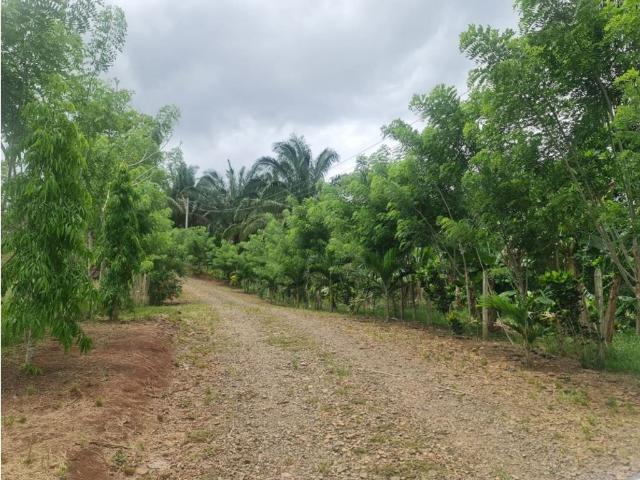 Cortijo de alto standing de 220000 m2 en venta Capira, Panamá