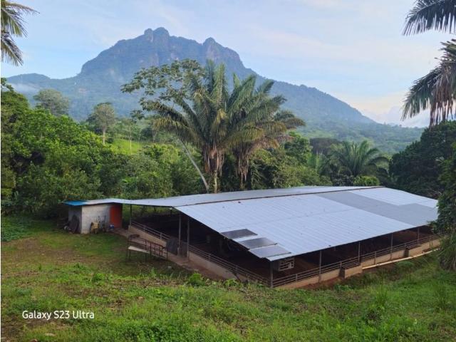 Cortijo de alto standing de 220000 m2 en venta Capira, Panamá