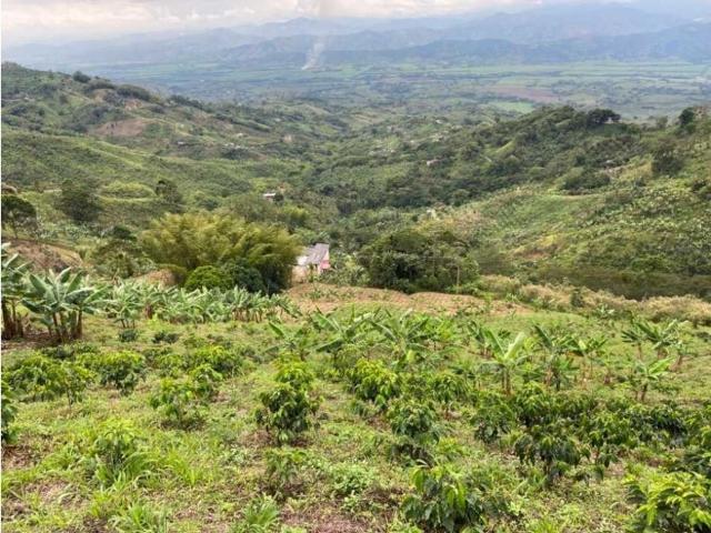 Finca en venta en Caldas, Belalcazar