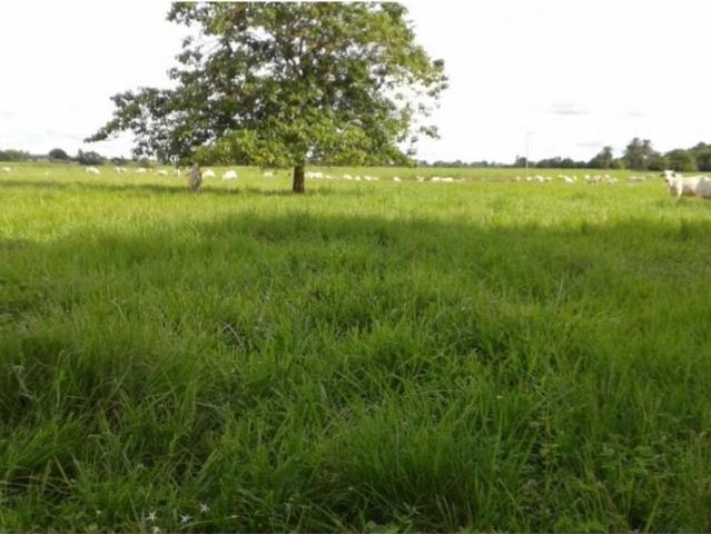 Propiedad en venta en Barinas, Municipio Barinas