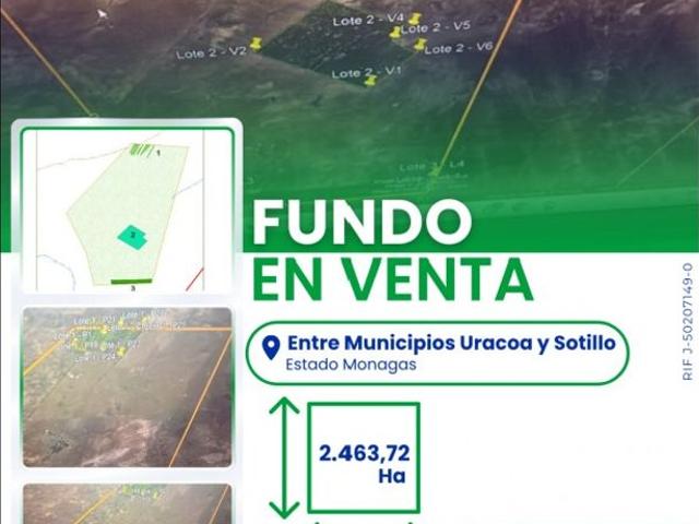 Propiedad en venta en Punta de Mata, Municipio Ezequiel Zamora