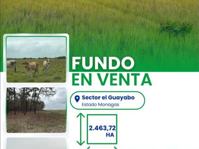 Propiedad en venta en Maturin, Monagas