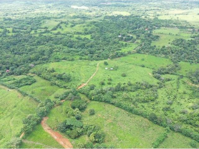 Finca venta en Chepo, Panamá