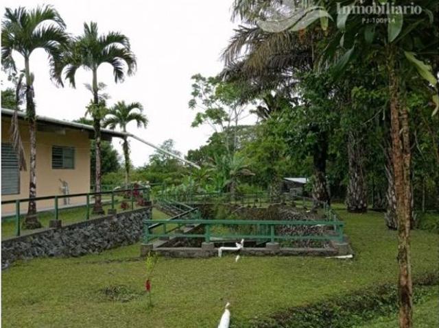 Cortijo de alto standing de 25000 m2 en venta Volcán, Provincia de Chiriquí
