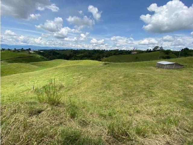 Finca en venta en Quindío