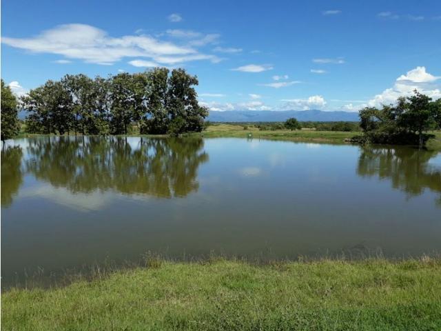 Finca en venta en Tolima