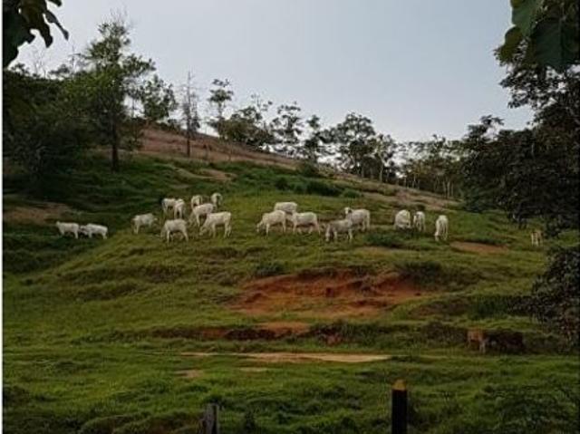 Finca en venta en Córdoba