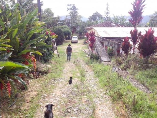 Finca en venta en Quindío