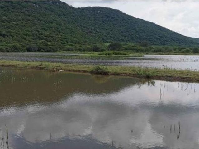 Rancho en venta en Colima
