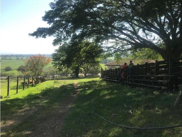 Cortijo de alto standing de 2886400 m2 en venta Riofrío, Colombia