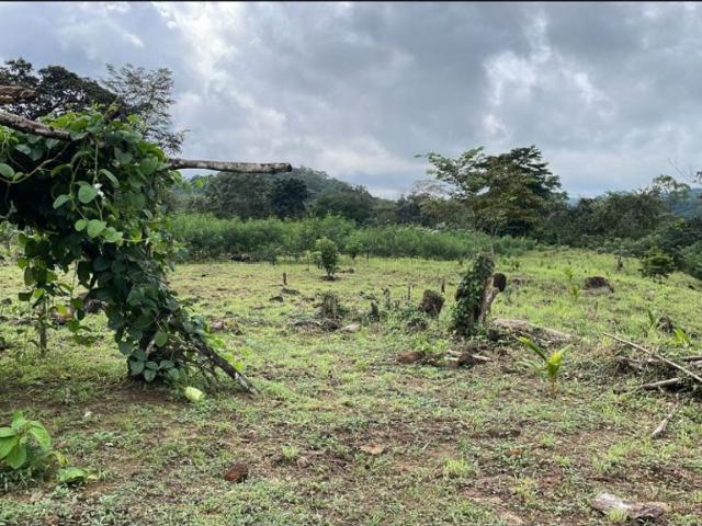 Cortijo de alto standing de 290000 m2 en venta Ciudad de Panamá, Panamá