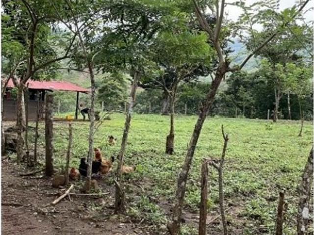 Cortijo de alto standing de 290000 m2 en venta Ciudad de Panamá, Panamá