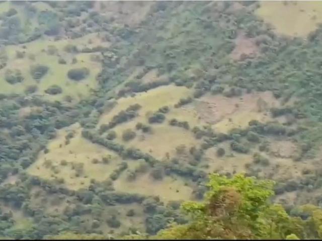 Finca en venta en Heliconia, Occidente