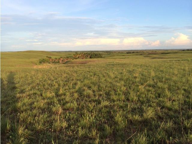 Cortijo de alto standing de 30000000 m2 en venta Cumaribo, Colombia