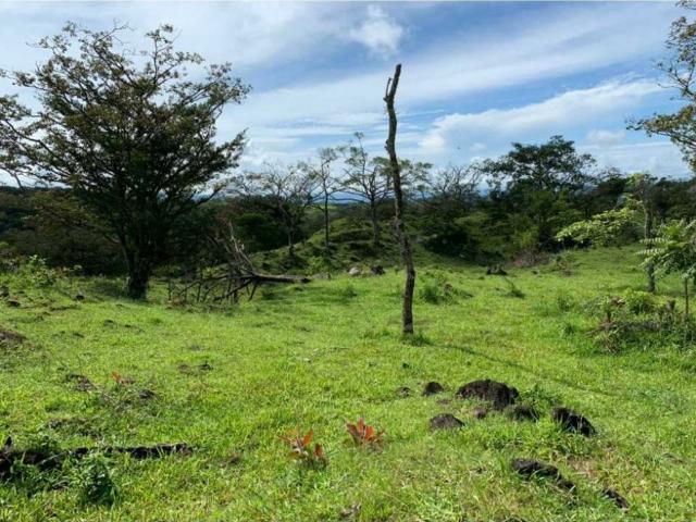 Cortijo de alto standing de 300000 m2 en venta Boquete, Panamá