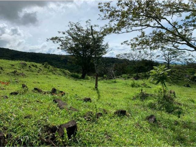 Cortijo de alto standing de 300000 m2 en venta Boquete, Panamá