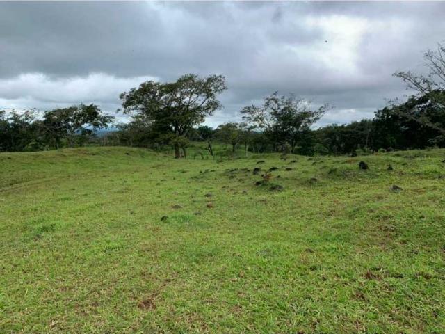Cortijo de alto standing de 300000 m2 en venta Boquete, Panamá