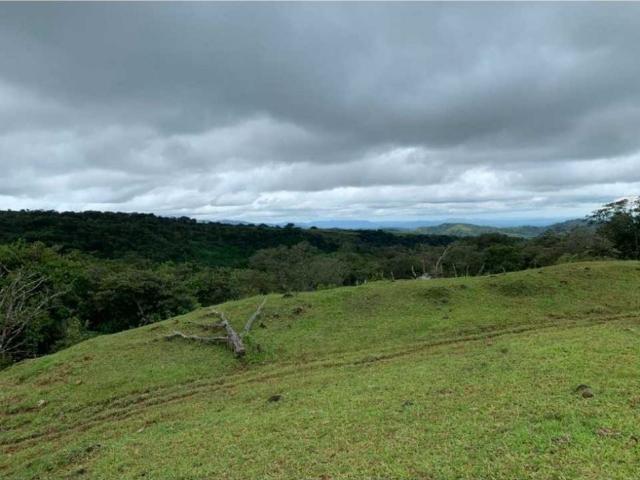 Cortijo de alto standing de 300000 m2 en venta Boquete, Panamá