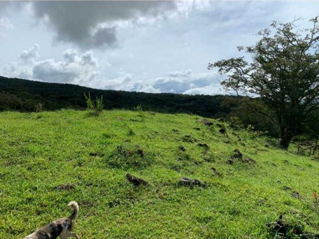 Cortijo de alto standing de 300000 m2 en venta Boquete, Panamá