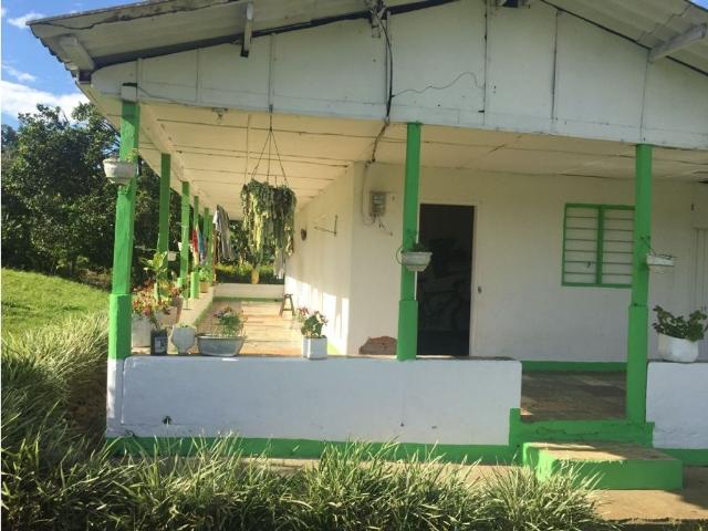 Finca en venta en Caicedonia, Valle Del Cauca