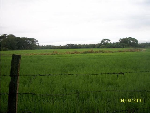 Finca en venta en Tolima