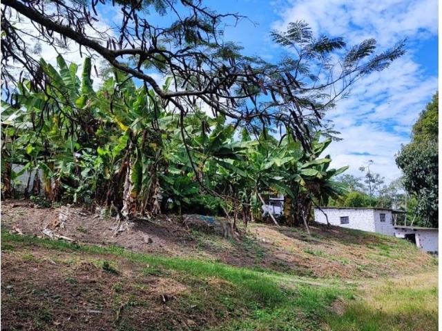 Cortijo de alto standing de 30000 m2 en venta Fusagasugá, Colombia