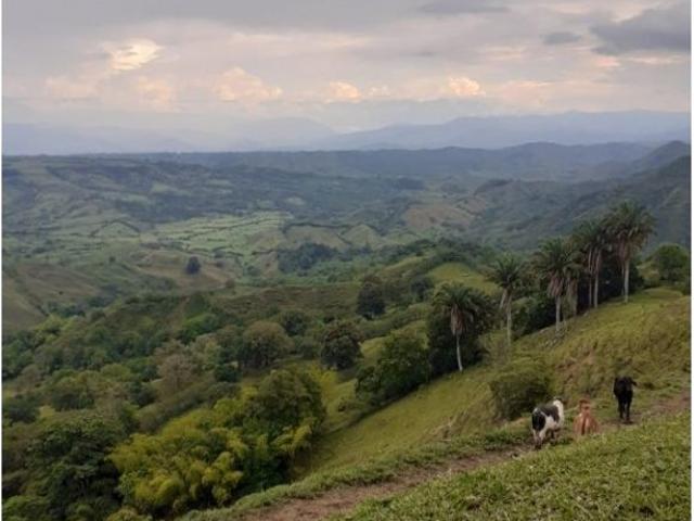 Cortijo de alto standing de 3072000 m2 en venta La Victoria, Departamento de Boyacá