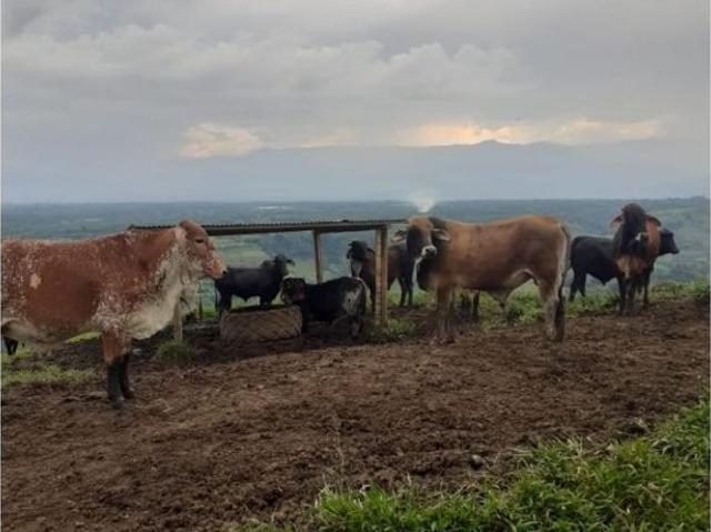 Cortijo de alto standing de 3072000 m2 en venta La Victoria, Departamento de Boyacá