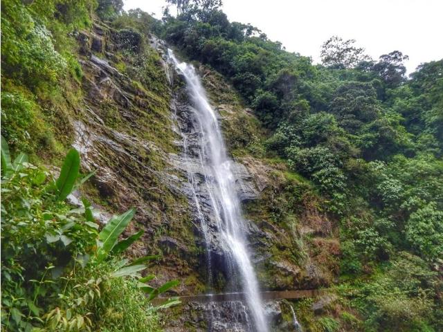 Finca en venta en Calarca, Quindío