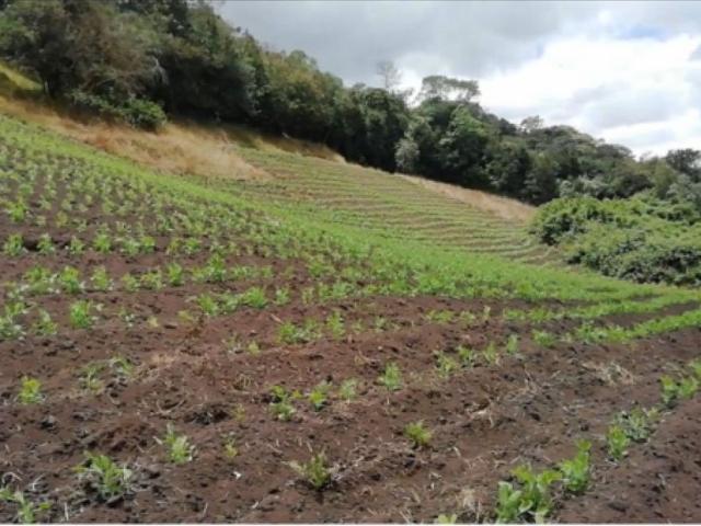 Finca en venta en Cundinamarca