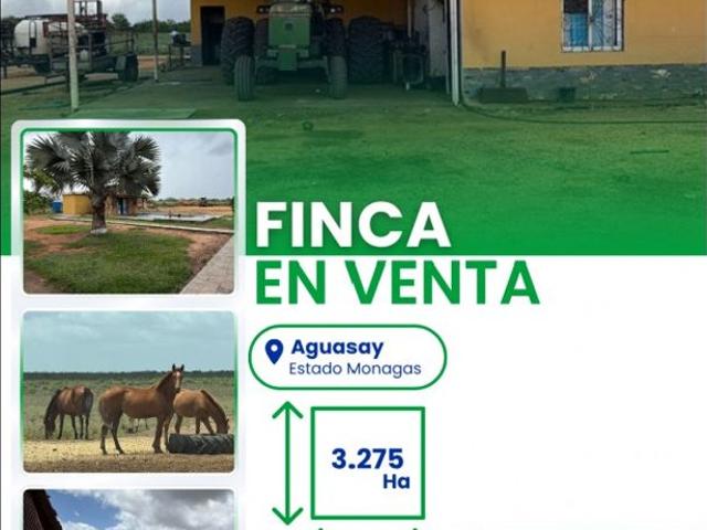 Propiedad en venta en Mata De Mata, Monagas