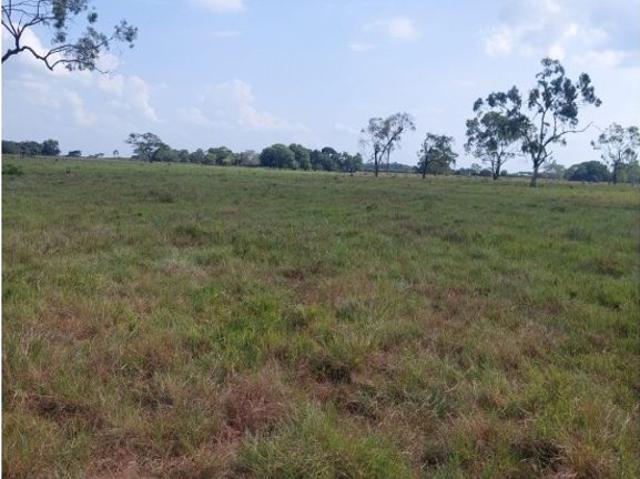 Finca en venta en Córdoba