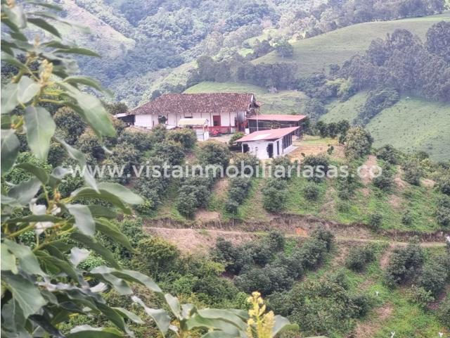 Finca en venta en Caldas, Salamina