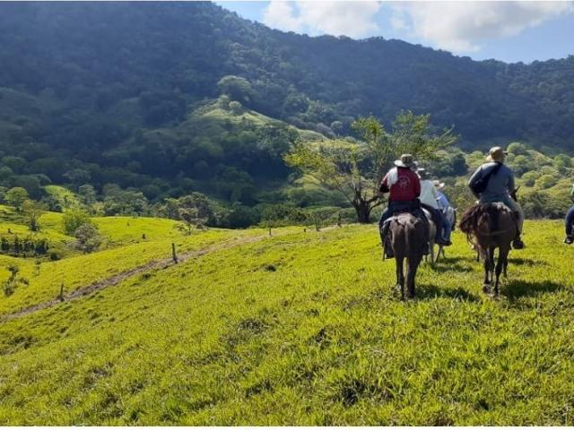 Finca en venta en Puerto Salgar, Bajo Magdalena
