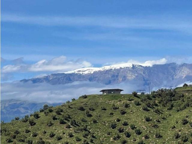Finca en venta en Tolima