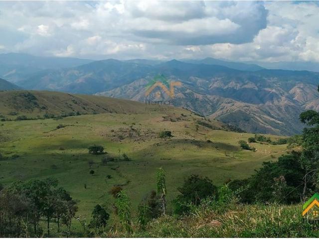 Finca en venta en Betulia, Yariguíes