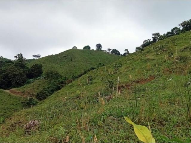 Finca en venta en Quindío