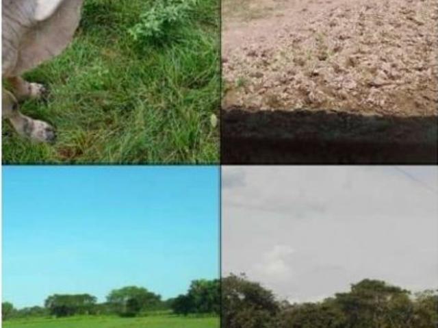 Propiedad en venta en San Carlos, Cojedes
