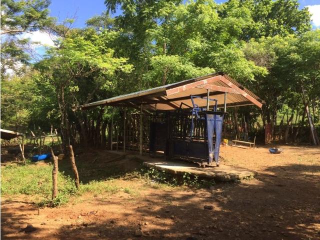 Finca venta en Soná