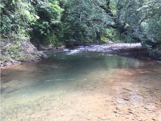 Cortijo de alto standing de 3945000 m2 en venta Soná, Panamá
