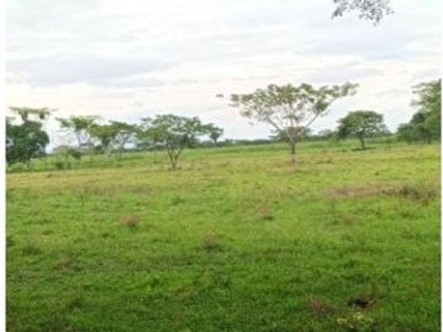 Propiedad en venta en Santa Bárbara, Barinas