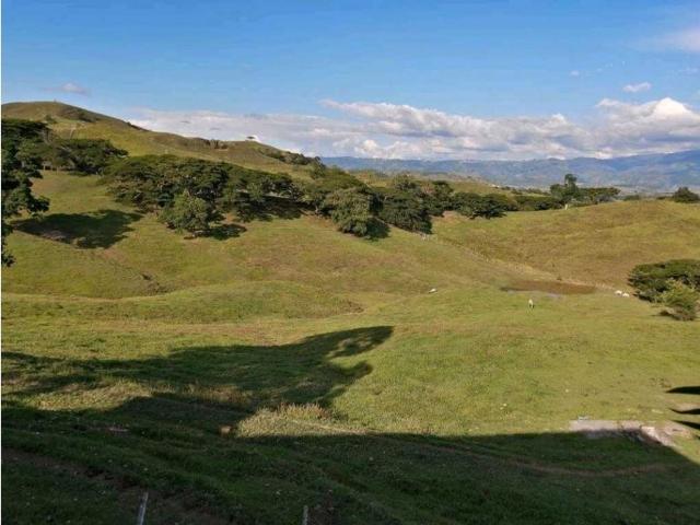 Finca en venta en Bugalagrande, Valle Del Cauca