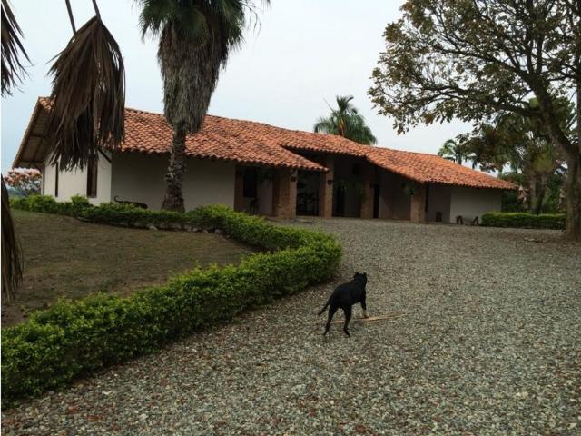 Finca en venta en Caicedonia, Valle Del Cauca