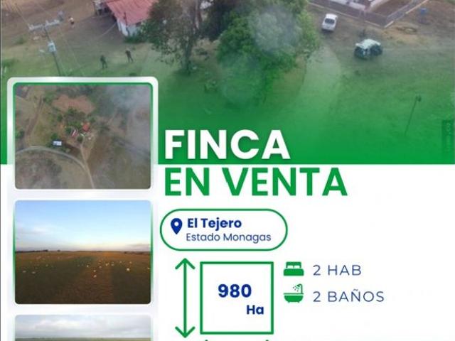 Propiedad en venta en Punta de Mata, Municipio Ezequiel Zamora