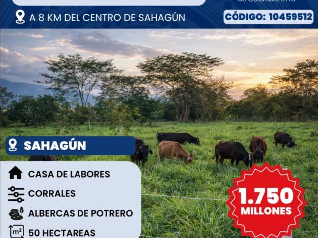 Finca en venta en Sabanas, Córdoba
