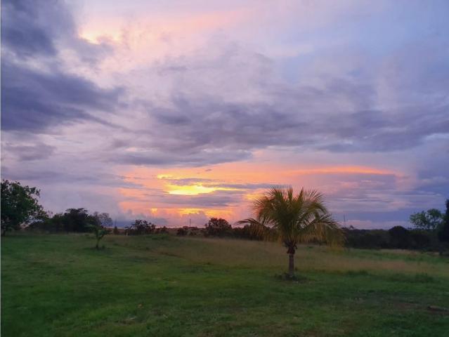 Finca en venta en Antioquia, Bajo Cauca