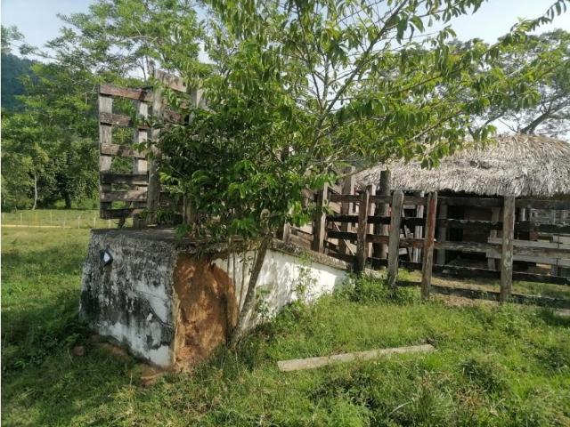 Cortijo de alto standing de 6000000 m2 en venta Tierralta, Colombia